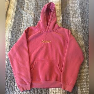 DANDY Embroidered Pink Hoodie